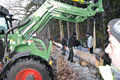 Umschneiden des neuen Maibaums und Arbeiten im Wald am 06.01.2016