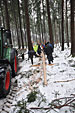Umschneiden des neuen Maibaums und Arbeiten im Wald am 06.01.2019